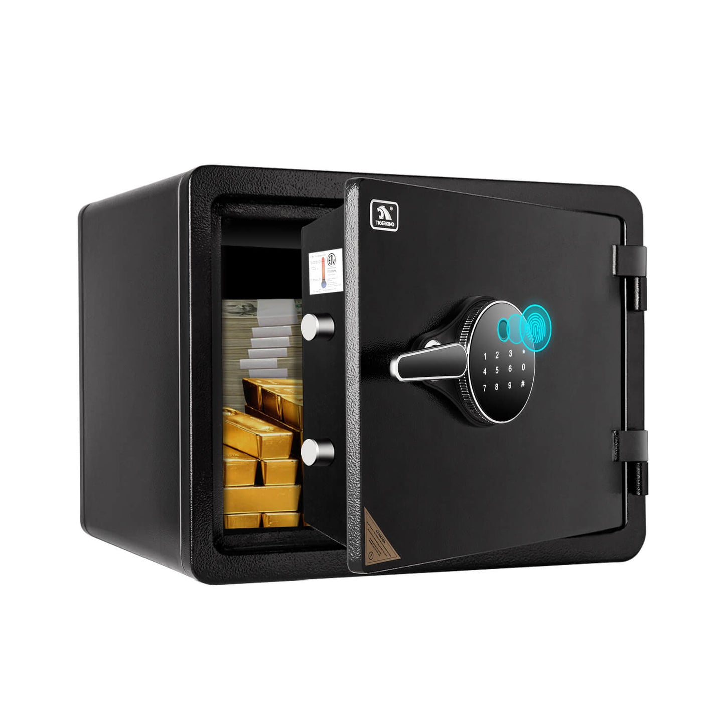 Fireproof Safe with Fingerprint 1 Cubic Feet 35OE TIGERKING SAFE