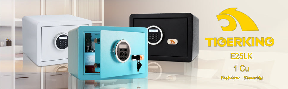 Home/Office Safe