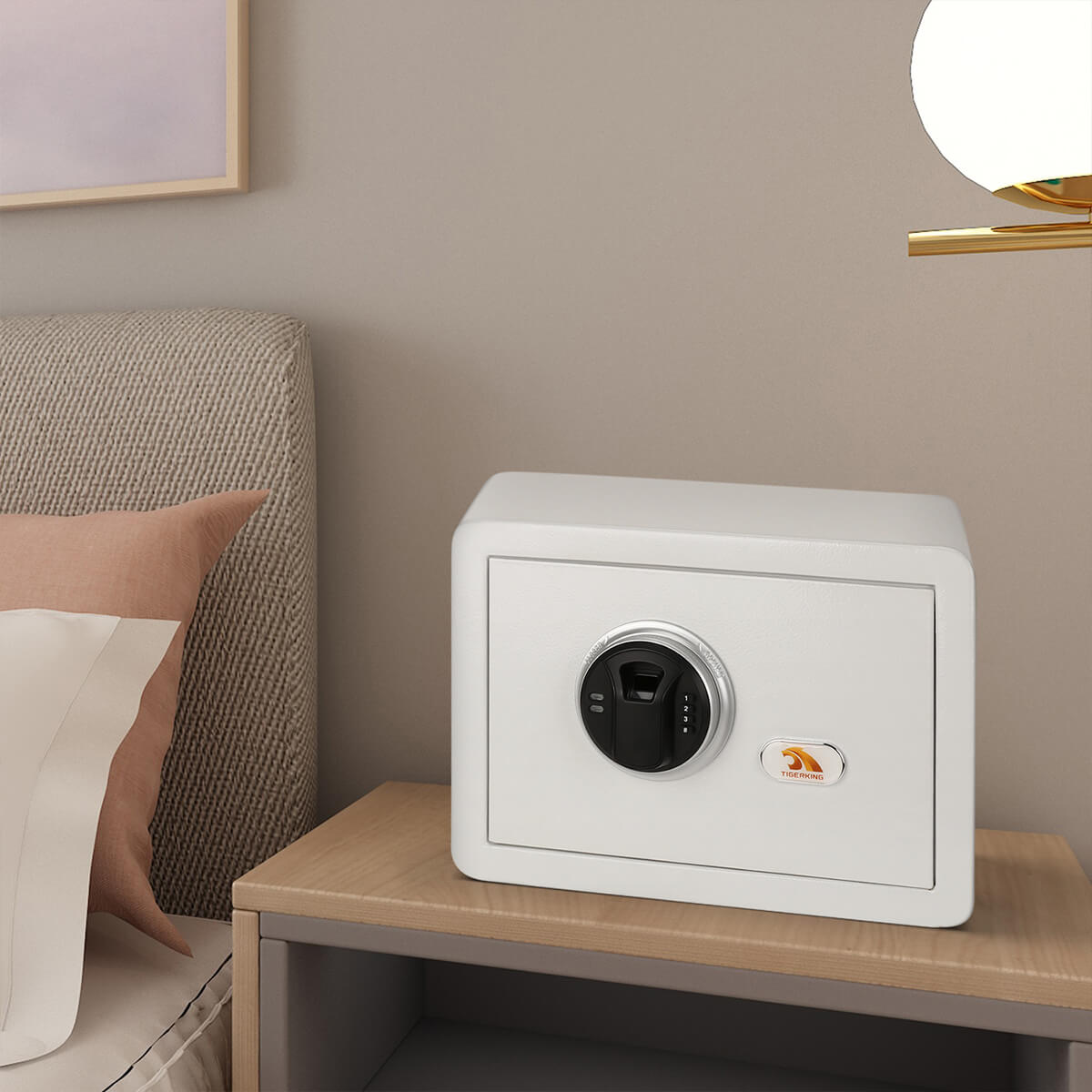 TIGERKING Small Closet Safe With Fingerprint Mini Home Safes FE25FED ...
