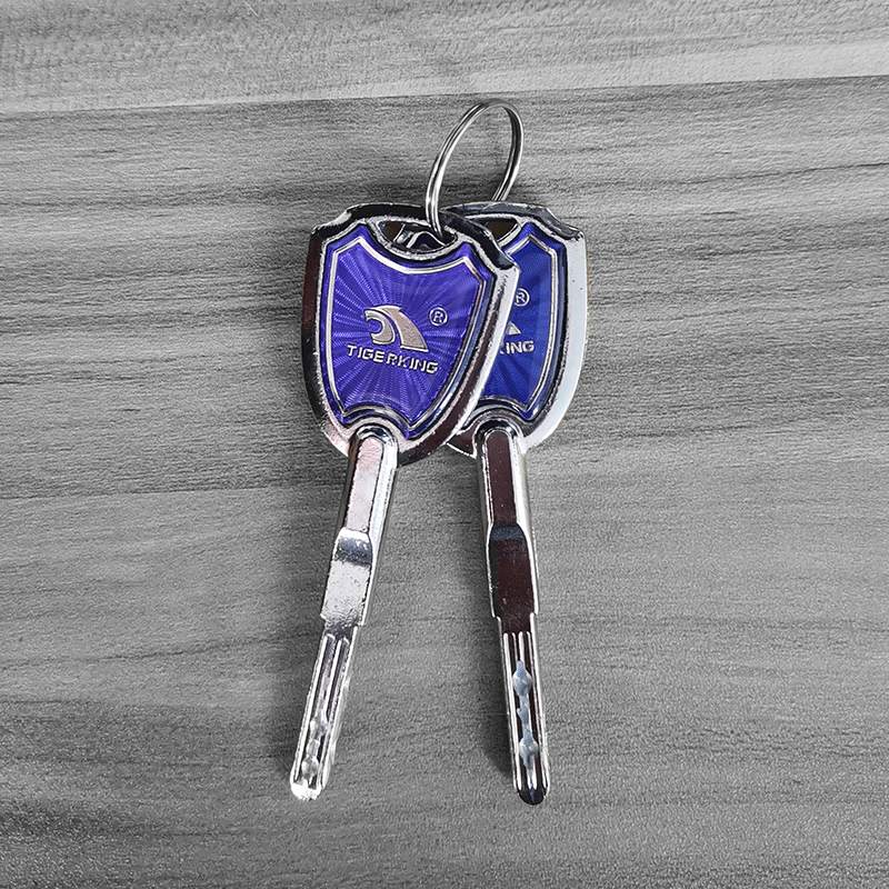 Key Replacement (CUSTOM MADE ORDER )